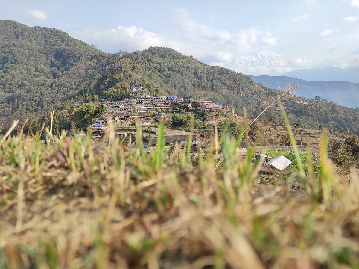 सुभप्रभात प्रीयजन फ्रम मालेपाटन पोखरा!