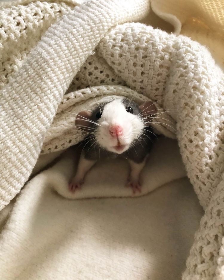 Cozy little Lilie :-)