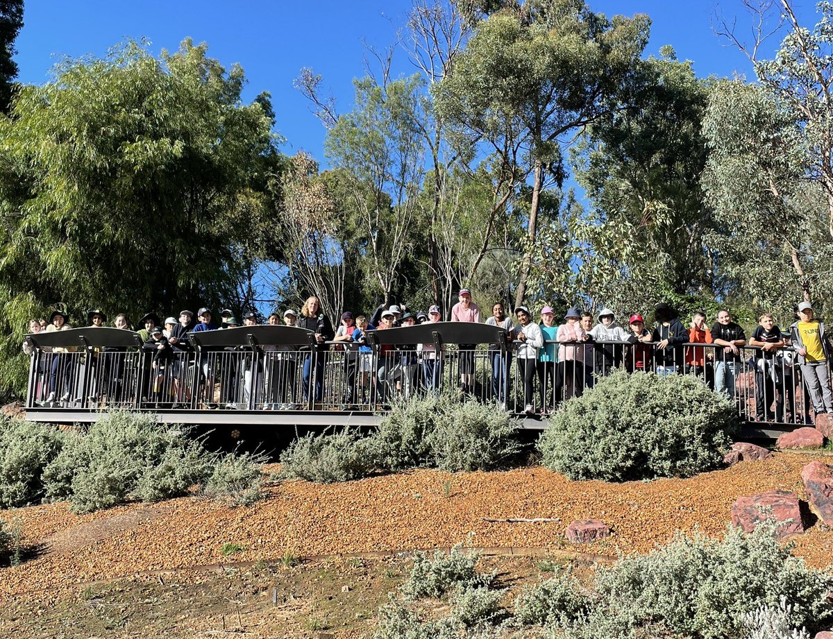 More natural discovery at the National Botanic Gardens. #wahroongaproud