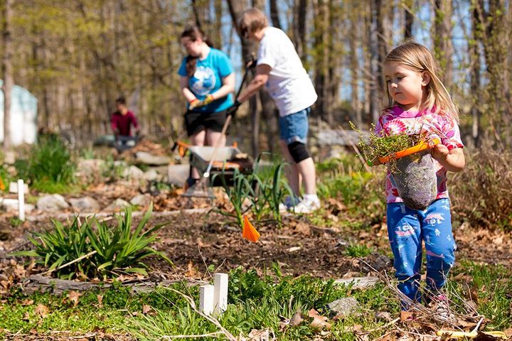 Have you found your #communitygarden yet? It's just about time to start germinating seeds indoors for transplant in the spring. Let us help you find a place to grow with our NH Community #Garden Map! #gardeningtips bit.ly/nhcommunitygar…