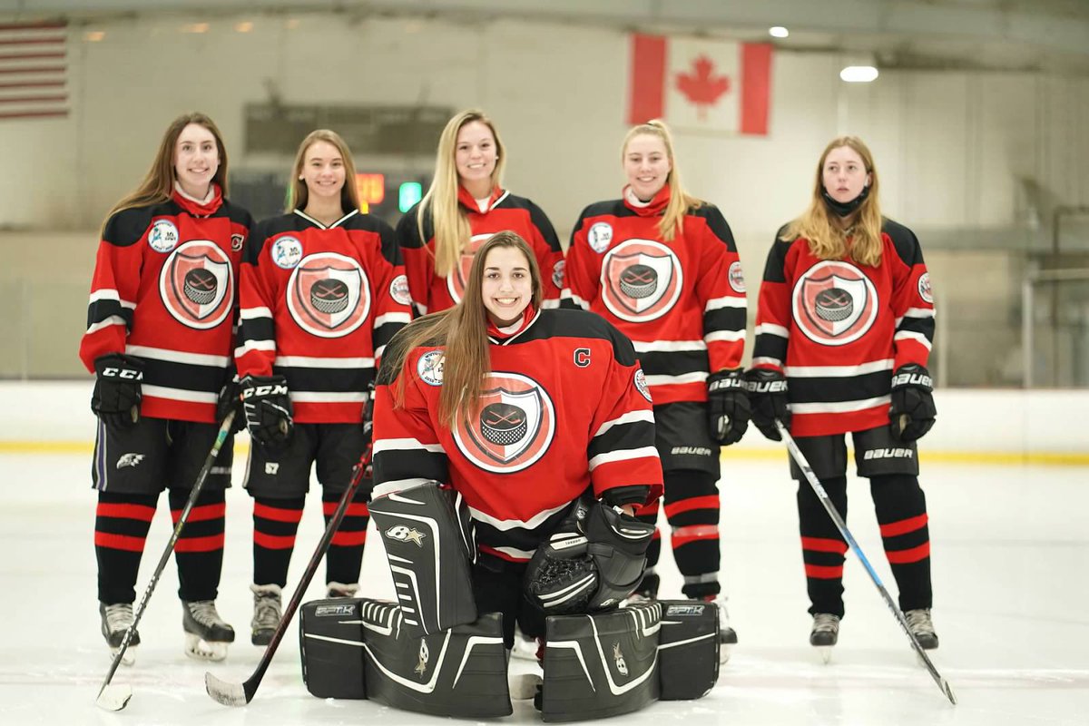 LID Girls Hockey tweet media