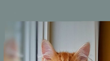 fuckbeetwt's tweet photo. Did it work? https://t.co/866KQDyRST