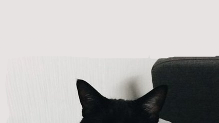 fuckbeetwt's tweet photo. Did it work? https://t.co/866KQDyRST