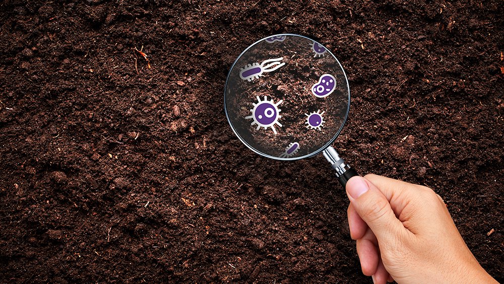 IMBatUQ's tweet photo. Calling all parents of budding scientists! We’re asking kids to get messy in yards, gardens and dirt patches across Queensland these school holidays and help us unearth new antibiotics. Order your FREE kit.

https://t.co/rEHpTNp2VX

#SoilsforScience #IMB https://t.co/yzPJ9hspb4