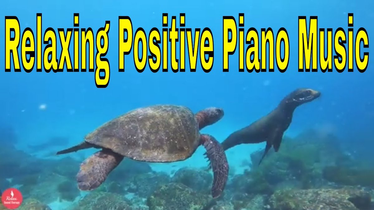 RelaxSTherapy20's tweet photo. Check out my latest video "Relaxing Positive Piano Music |  Think positive inside"

Watch Now: https://t.co/kNM5sRvggV https://t.co/6melPNHL59