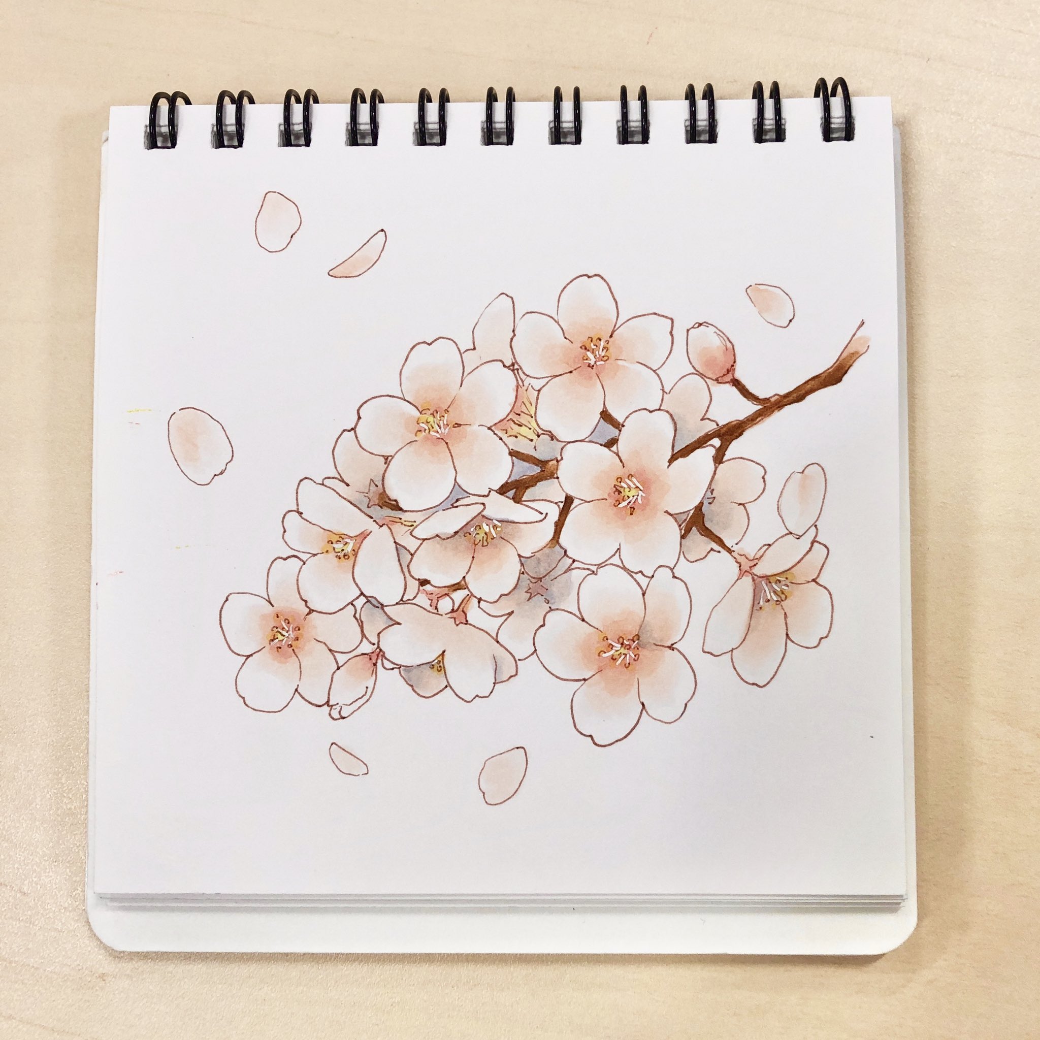 ひめ、かぐや、光永 コピック　手書きイラスト 11点まとめ売り ひめ、かぐや、光永 コピック 手書きイラスト 11点まとめ売り