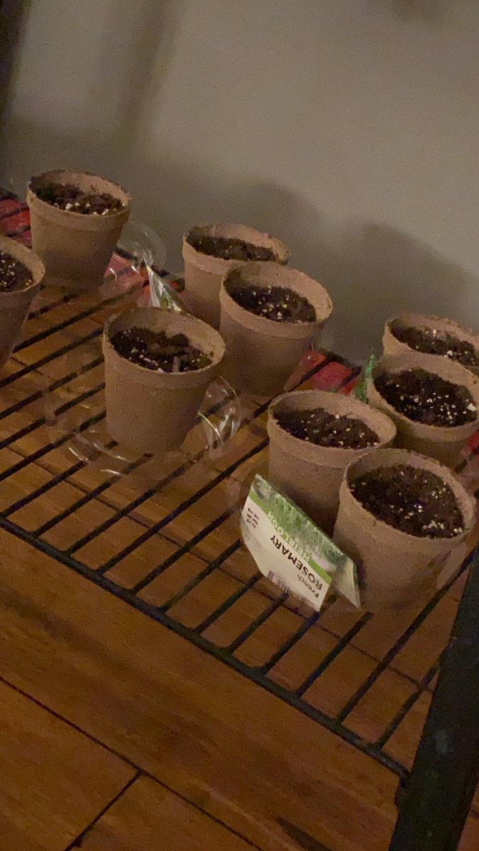 Starting an herb garden for all those yummy recipes. #tastemademedoit