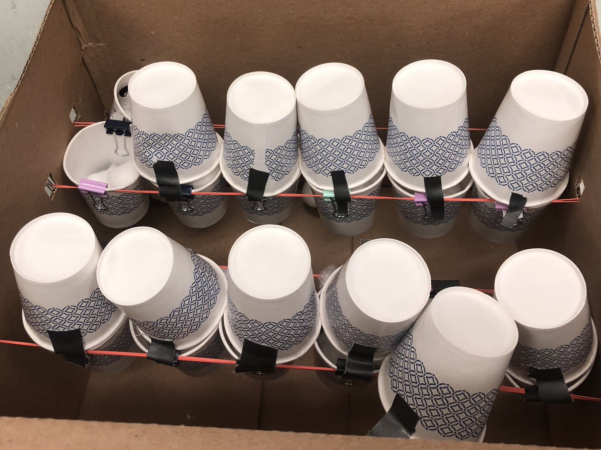 BrandMedlin's tweet photo. Ss designed a new egg carton that would keep eggs from breaking when dropped. Some designs passed the test even when I stood on a ladder and dropped it from ceiling height. @keheleycomets @cobbalp https://t.co/DLetm2YZBj
