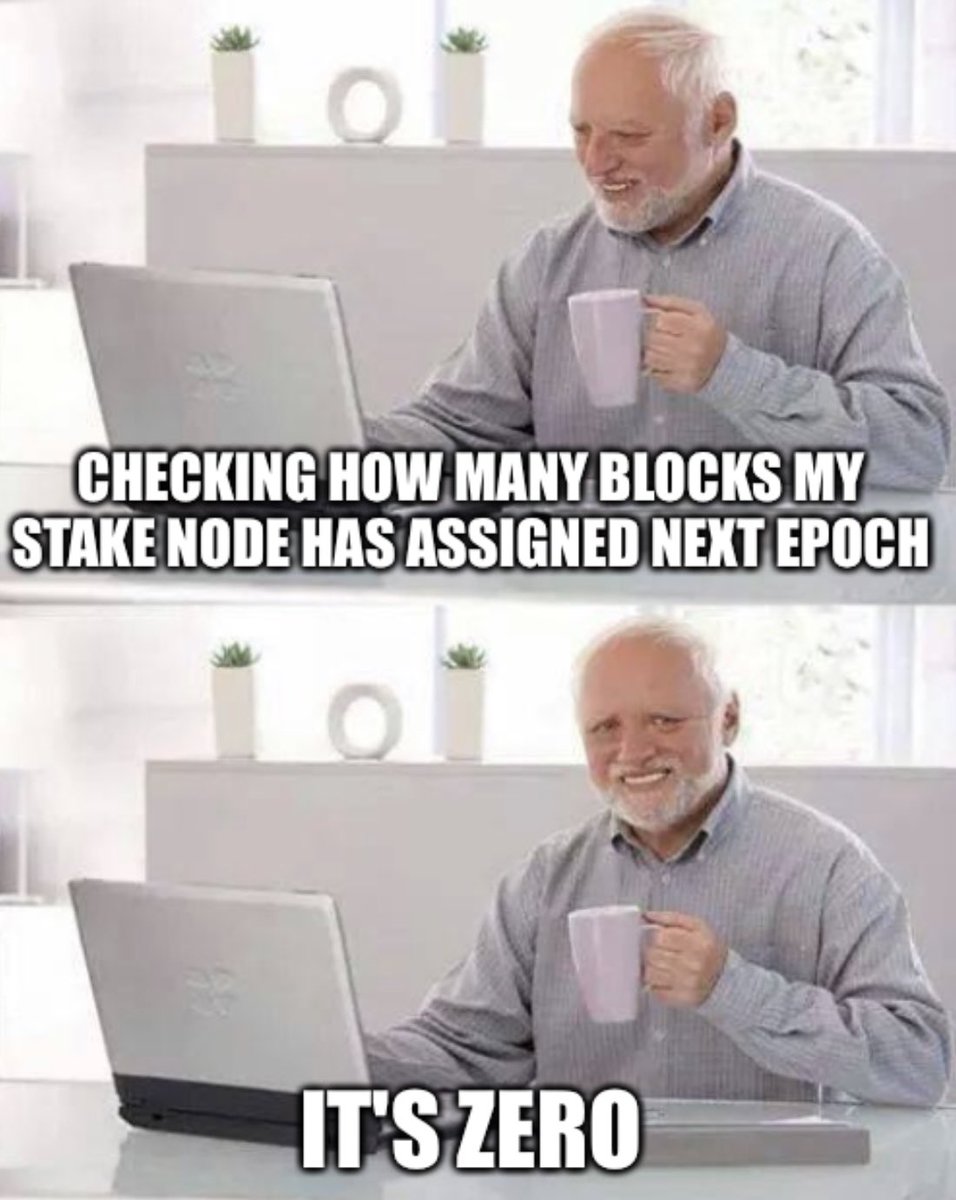 meme_pool's tweet photo. #hidethepain #Cardano #spo #stakepool #leaderlog https://t.co/lWJg1DtNl4