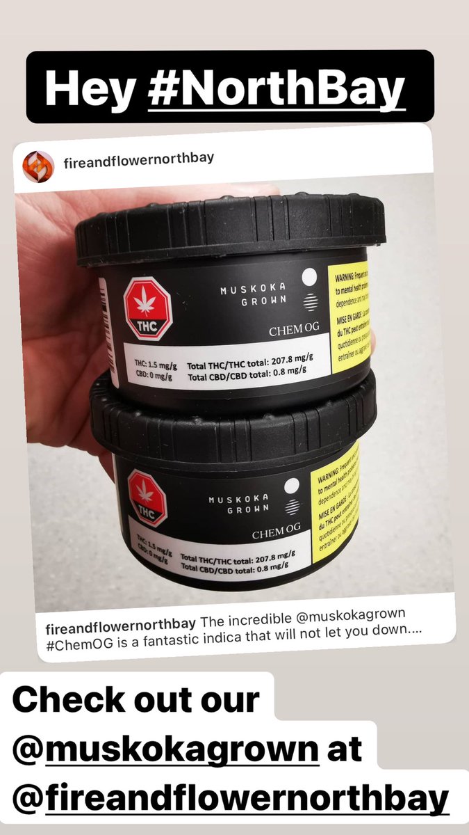 swalters's tweet photo. Hey #NorthBay Ontario. Check out our @MuskokaGrown tins of fresh #chemOG weed at @fireandflowerco 2021 Algonquin Ave Unit 104, North Bay https://t.co/OeQb9I6MC7