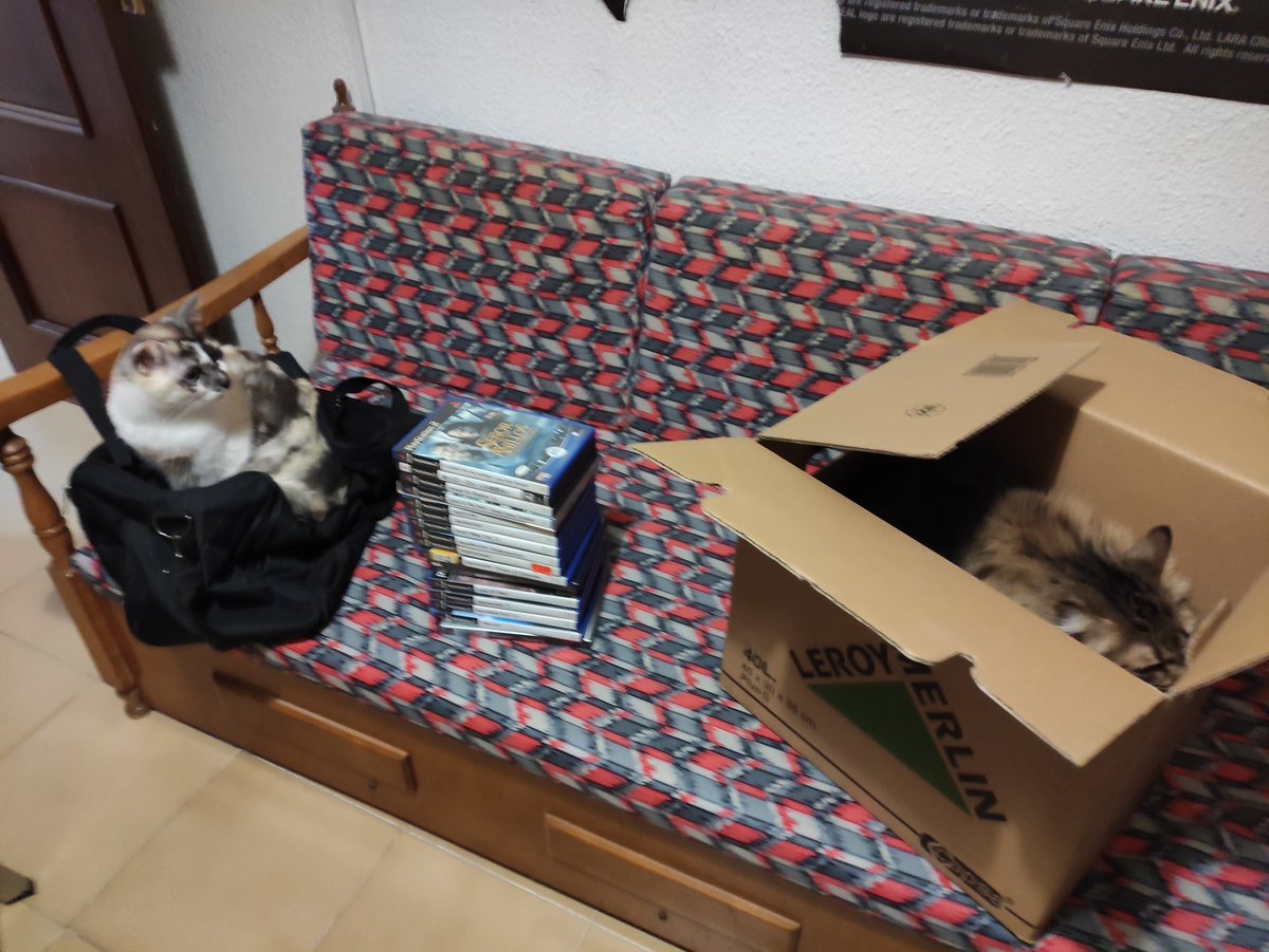 chloelexa's tweet photo. K m llevo primero, los peludos o los juegos 😅
#gatosalpoder https://t.co/EASZJvOx0Z
