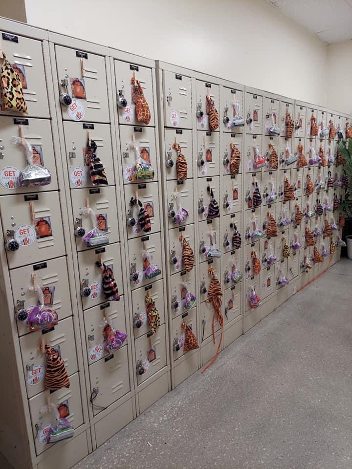 Tiffany Ray Wolfer tweet media