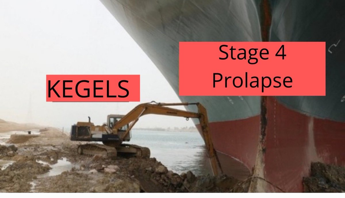 Dr. Nada Ibrahim Makki Al-Ibrahim tweet media