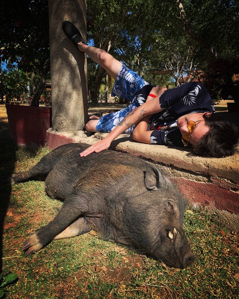 sorianodavid_'s tweet photo. Timón y Pumba echando siestita 🐗💙

https://t.co/6PyEDQ8iQo https://t.co/VGBbACjwuE