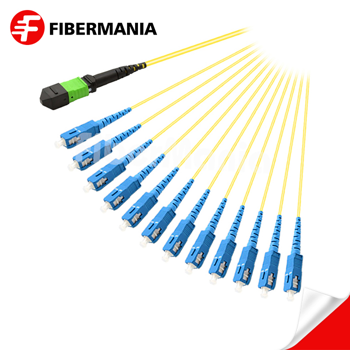 iFiberMania's tweet photo. I have never seen such a special gift from FiberMania Fiber Cable. https://t.co/2PIq8eG1XD #opticalcablemaletofemale #mpofanoutcable https://t.co/mzvuTlReJz