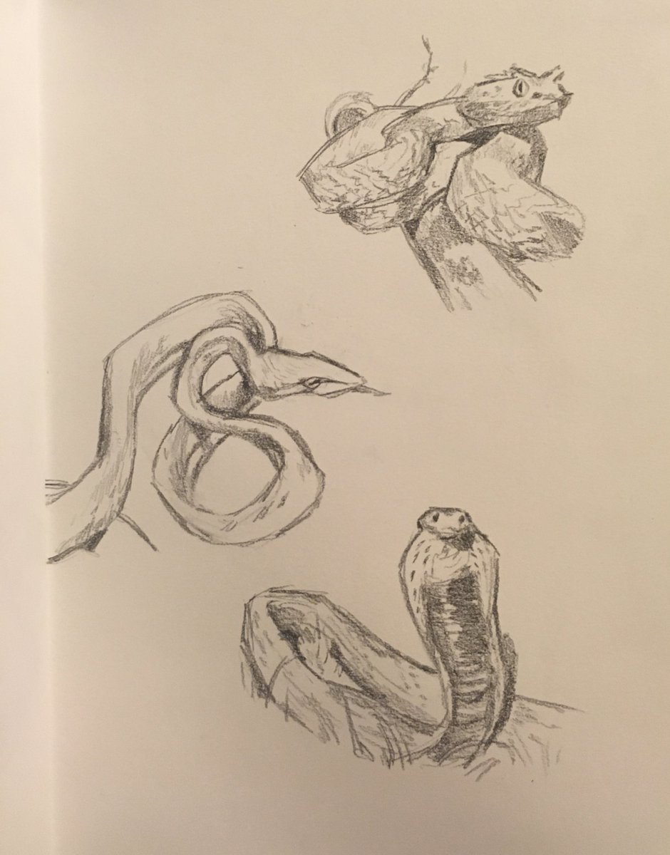5 minute doodles of randomly generated snakes bc i love them 
