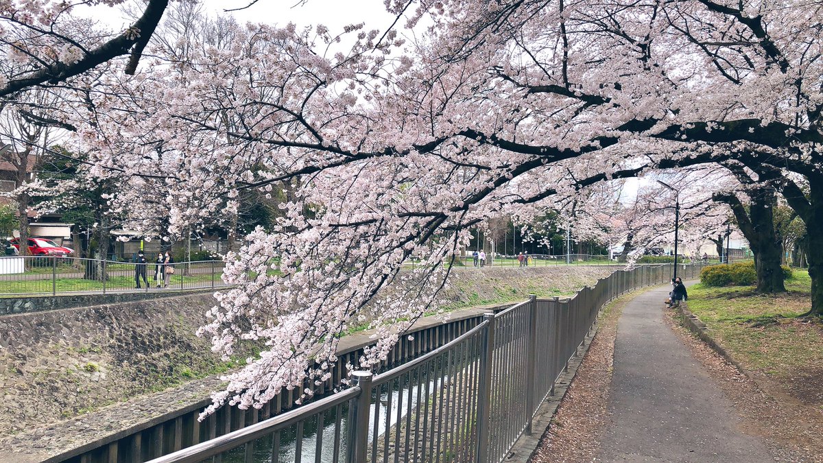 桜咲いてたし何をして暮らしてるか分からないおじさんが一定のリズムで大きい声を出しながら歩いてたしとても春らしかった 