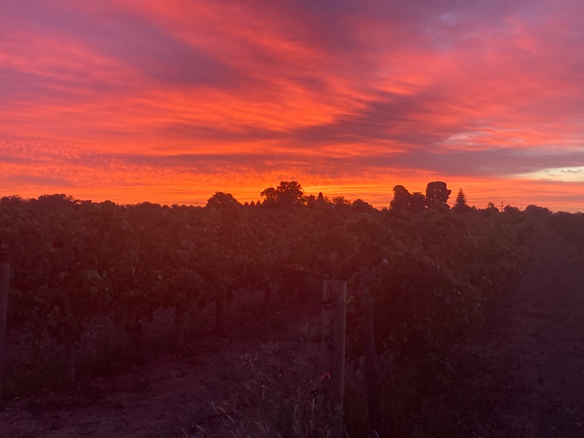 Lehmo75's tweet photo. Love the Riverland sunrises this time of year. https://t.co/woRwiZVljA