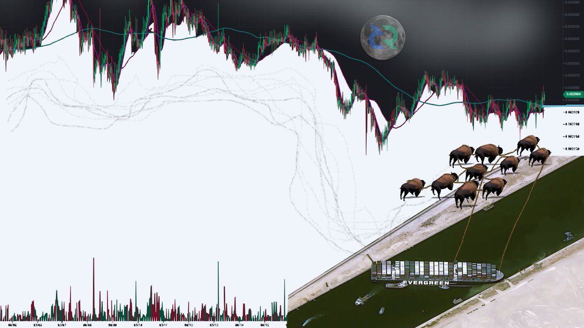 DCR Bison tweet media