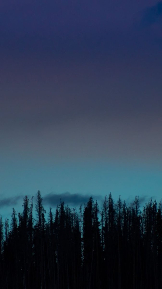 david7101990's tweet photo. The night is a magical and mysterious moment https://t.co/uoutMOclNq