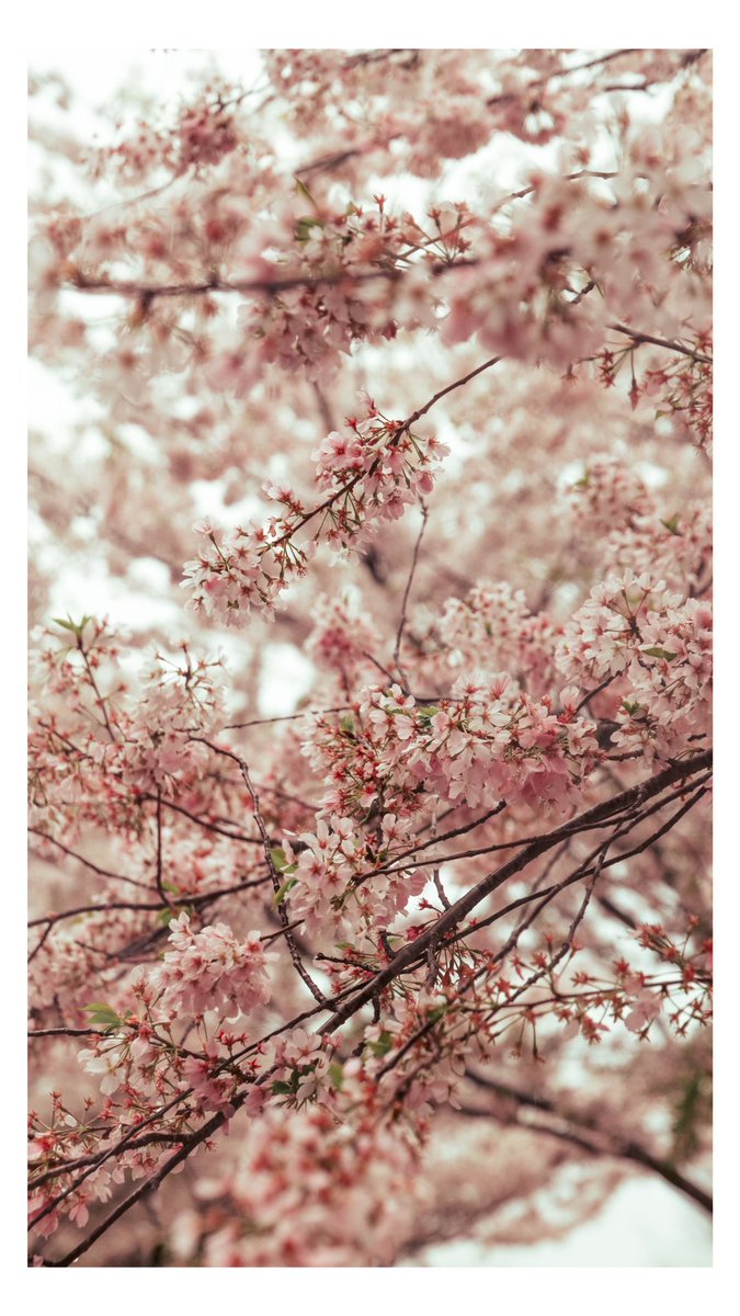 Evan Ranft tweet media