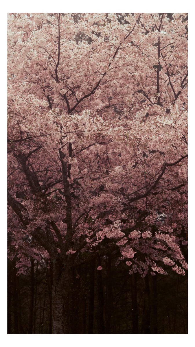 Evan Ranft tweet media