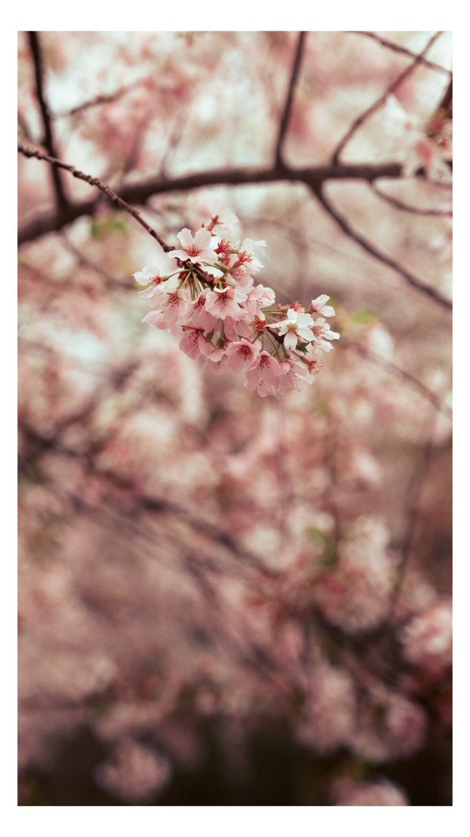 Evan Ranft tweet media