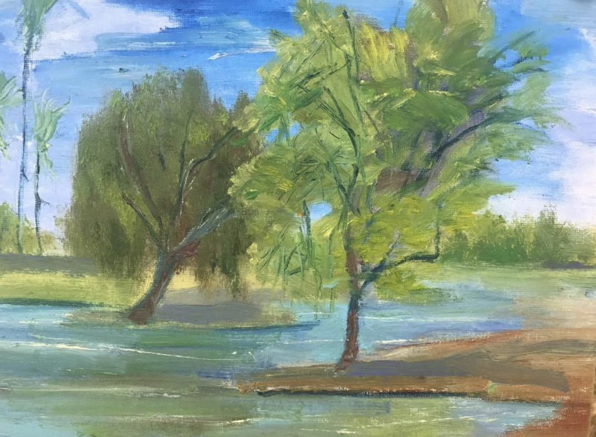 MarkHafemanArt's tweet photo. #springtime #Arizona #lakes #golfclub #golfcourse #manzanita #water #reflections #arbol #desert #oasis #oilpainting #originalart #markhafeman #markhafemanfinearts #art #oil https://t.co/9sfcUHGmAO