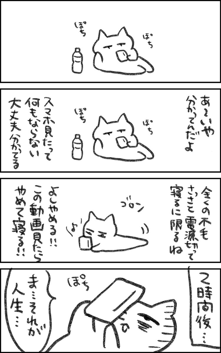 それが人生猫 