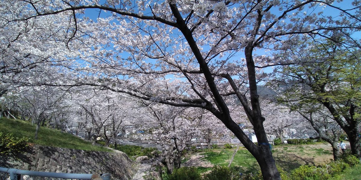 立山公園