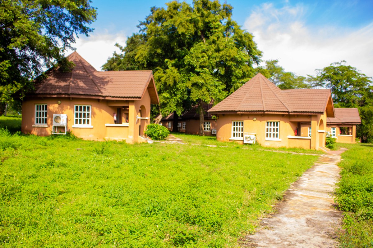 Yankari Game Reserve tweet media