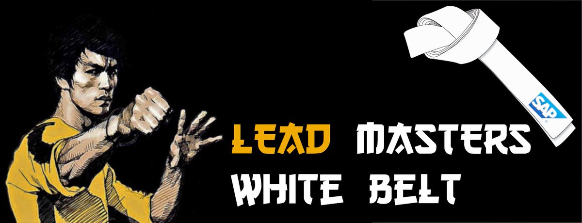 Début du #SAPLeadMasters Challenge - ceinture blanche obtenue pour notre Persona créé en équipe. Bravo la team Smarketing !
