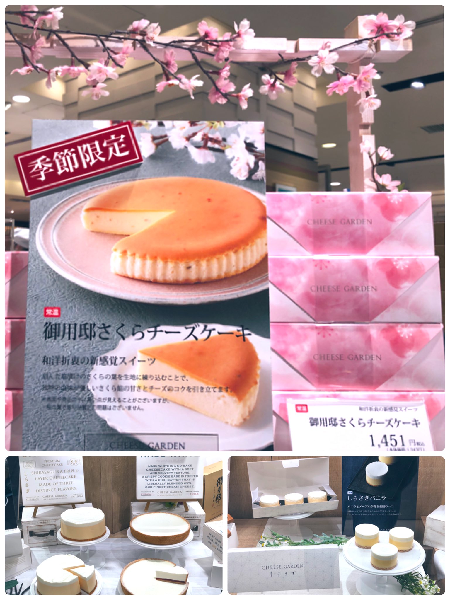 二子玉川 東急フードショー A Twitter 春 チーズガーデン 季節限定 商品を発見 御用邸さくらチーズケーキ 刻んだ塩漬けのさくらの葉が生地に練り込んである商品 今の季節しか味わえない商品です 季節を感じますね その他にも 冷凍ケーキもご