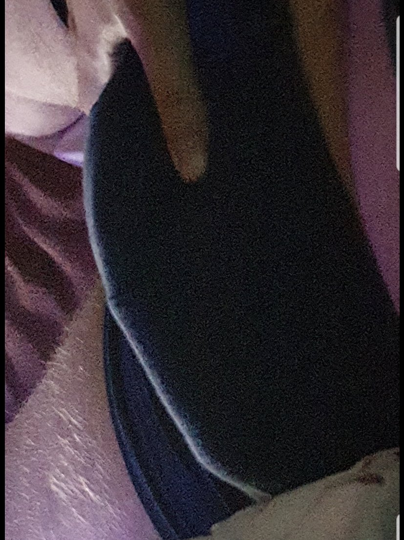TimbaYung's tweet photo. make your master happy fags 😈😈💶

https://t.co/BPCy0g8VRM 💶

https://t.co/kGqOBt7YLd 💶

#findom #domination #cashmaster #moneymaster #humiliation #humanatm #paypig #paypiggie #payfag #payslave #dickrating #zahlsklave #feet #alphamale #cashslaves #blackmailing #dick #dickpic https://t.co/OFU1ddNcV5