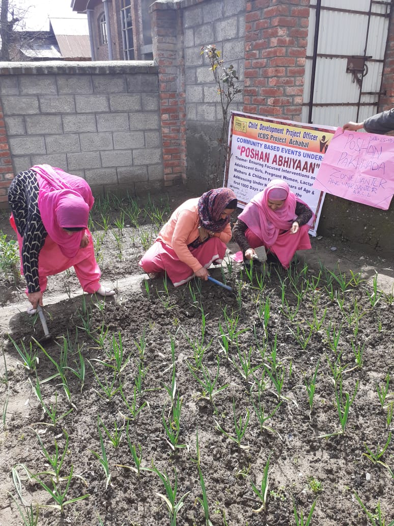 jkposhan's tweet photo. POSHAN Vatikas in UT of J&amp;K
#Poshan Pakhwada 
#Ministrywcd 
#poshanabhiyaan https://t.co/MMYj0dY16g