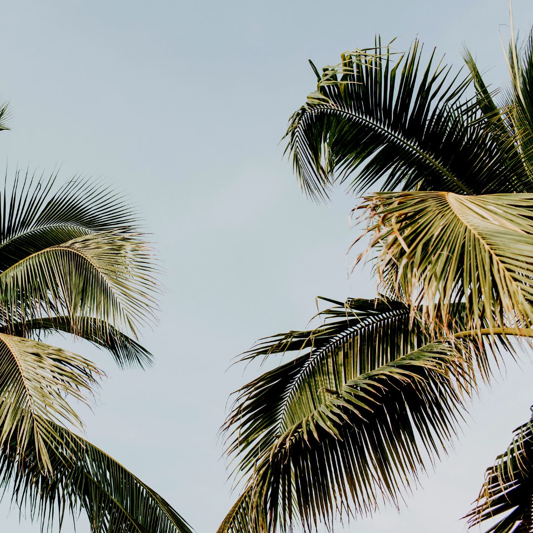 milkandnectar's tweet photo. I'm sure we're not the only ones booking hypothetical holidays that we can't go on 😭 What are your goal destinations you would book once travel restrictions ease? Ours involves sun, sand and a few cheeky bevvies. In other words, Bali pretty much 🌴🥥 https://t.co/MMrg2Y7sRZ