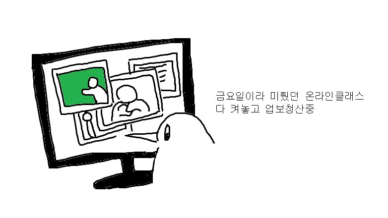 키위새는 행복해요 tweet media