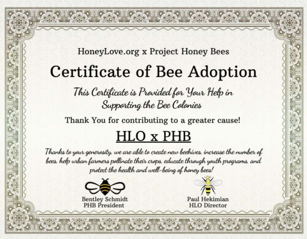 serpandeerus's tweet photo. Adoptoin kuningatarmehiläisen 🤭✨🌼🐝 #SaveTheBees #AdoptABee #HoneyBee https://t.co/q9hbztiTkT