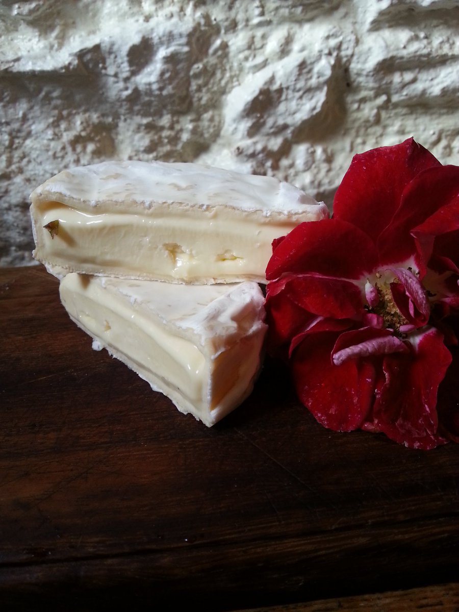 CooleeneyFarm's tweet photo. Nothing beats some wonderfully ripe brie! The best way to enjoy your mature brie is to leave it out of the fridge an hour before serving, to bring it to room temperature.🕛 Do you have any cheese tips? We would love to hear them?⬇️⬇️🍴#cheesetips #tipperarybrie @tippfood https://t.co/rdqQnw76Wm