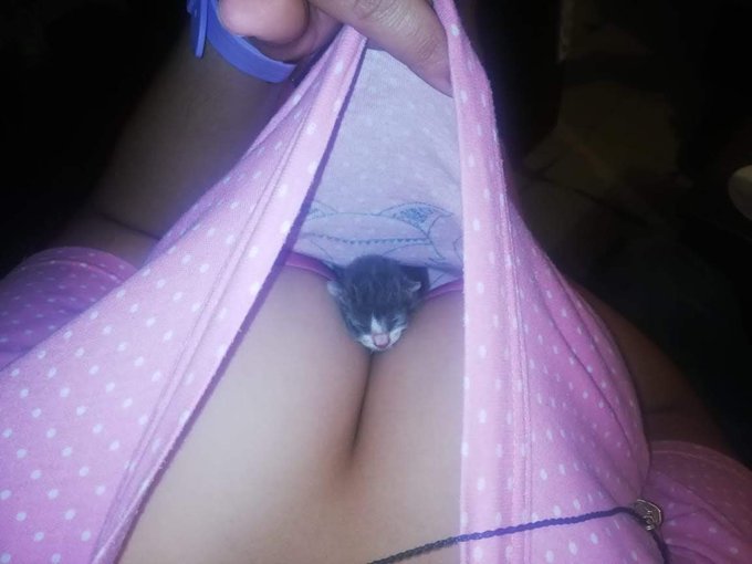 Como duerme. M🥰🥰 https://t.co/PR0Z7gPmeT<a href="/tag/nuevafotodeperfil"class="tags"><span>#nuevafotodeperfil</span></a>