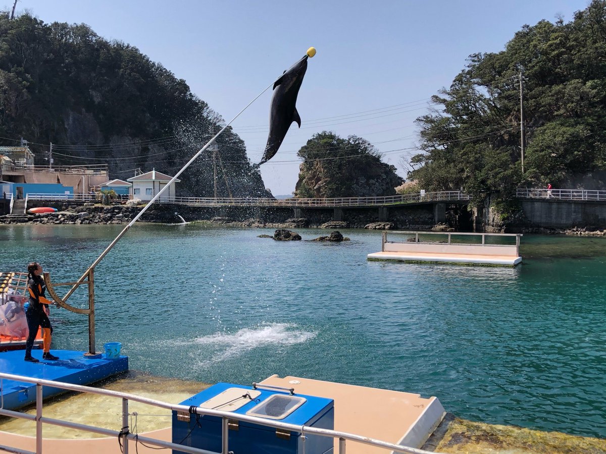 下田 海中 水族館