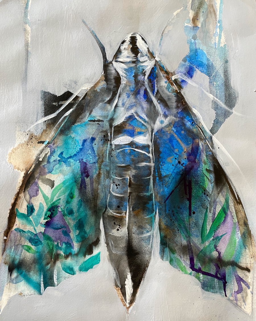 junyartsjun's tweet photo. Night Moth 🌌🌙🧞‍♂️ 16”x12” 
Acrylic mixed media on paper. San Francisco CA #moth #nightmoth #mothart #junyang #contemporaryartist #queerkorean #koreanartist https://t.co/BmCpxDatmE