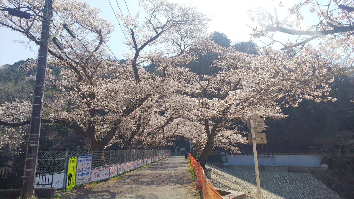 ゆずの里ケーブルテレビ 毛呂山さくら情報 鎌北湖 毛呂山町内の桜が綺麗になりましたね ほぼ満開に近づいた場所を撮影してきました まずは鎌北湖です 今年はまだ工事中で水がありませんが 逆にレアな桜が撮影できるかもしれません 写真 3月 ゆずの里ケーブルテレビ 毛呂山さくら情報 鎌北湖 毛呂山町内の桜が綺麗になりましたね ほぼ満開に近づいた場所を撮影してきました まずは鎌北湖です 今年はまだ工事中で水がありませんが 逆にレアな桜が撮影できるかもしれません 写真 3月