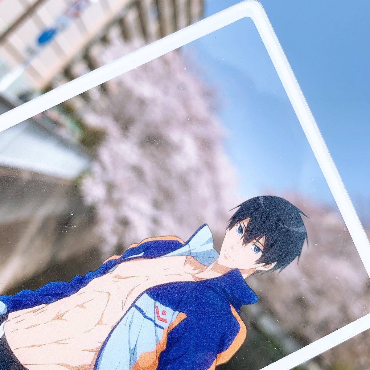 haru30_ikuya03's tweet photo. 𓂃𓂂🌸𓂃𓂂🌸𓂃𓂂🌸𓂃𓂂🌸𓂃𓂂🌸
下落合の桜は満開です🌸
#Free
#FreeTYM
#Free聖地 https://t.co/Th9Q6HohWB