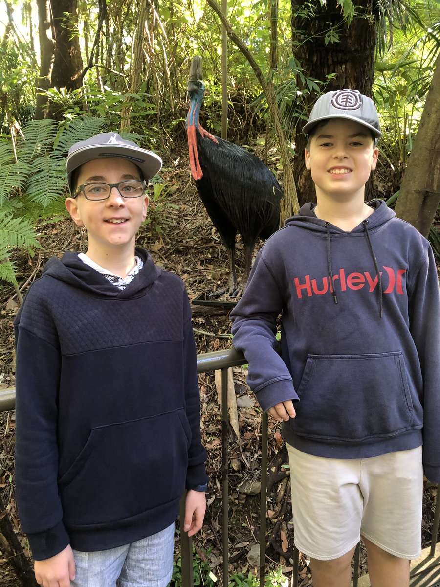 More from the Royal Botanic Gardens #wahroongaproud