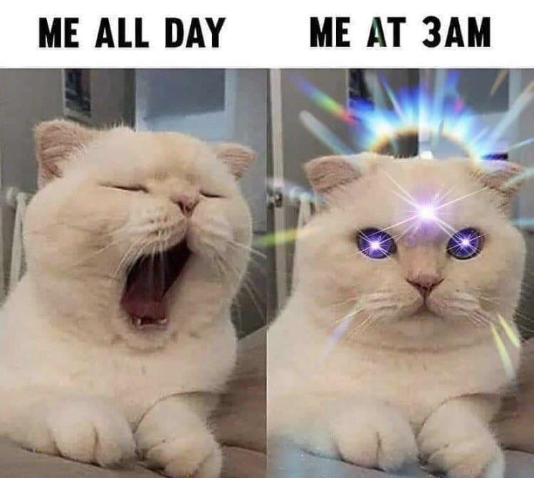 ItMeIRL2's tweet photo. me_irl https://t.co/Bx2sSMj9nY https://t.co/MZvBbMJCxW