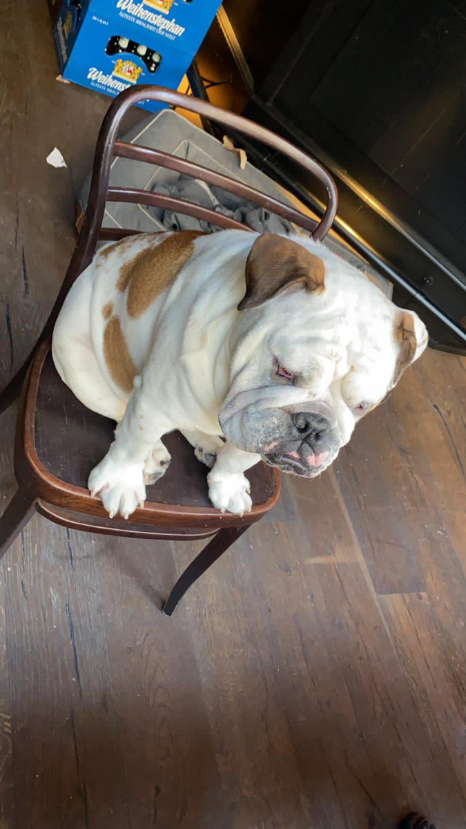 C E D Я I C B L N G Я tweet media