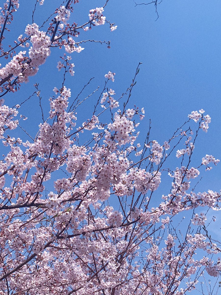 xx은 지금.. 🌸
