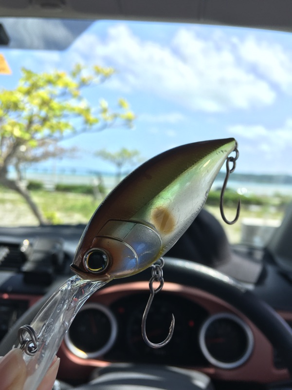 Wave Fishing Community ついにクランクにhitするも途中でばらす 風速8mにあたり続け鼻水出てきたので帰宅 外気温22 25 くらいあるけどやっぱ風はツラい 沖縄釣り 沖縄ルアー 釣り 海釣り ルアー ロックフィッシュ Duel クランクベイト Wave Fishing Community ついにクランクにhitするも途中でばらす 風速8mにあたり続け鼻水出てきたので帰宅 外気温22 25 くらいあるけどやっぱ風はツラい 沖縄釣り 沖縄ルアー 釣り 海釣り ルアー ロックフィッシュ Duel クランクベイト
