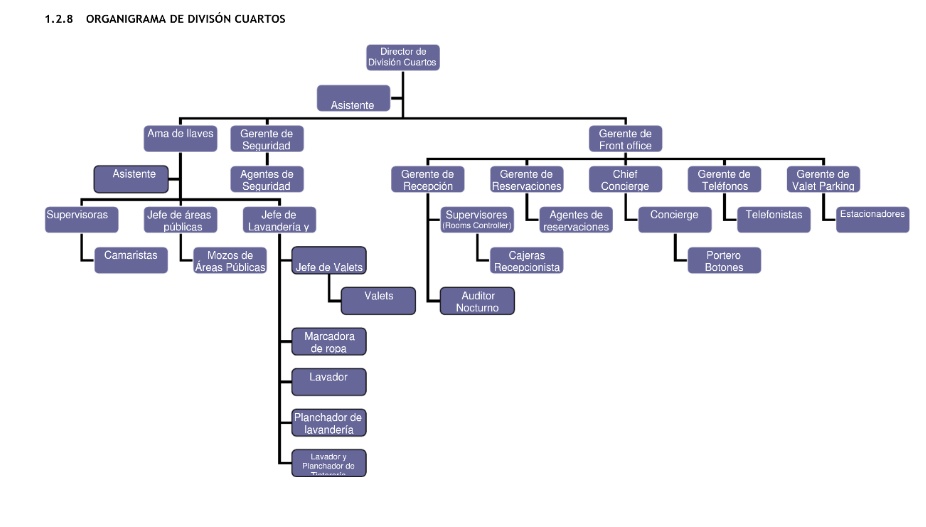 El área de División Cuartos es considerada con el eje fundamental de la operación hotelera y es de vital importancia.
#Organigrama #DivisiónDeCuartos <a href="/omaralpuche/">omar alpuche leal</a>  <a href="/AlejandroCetza3/">Alejandro Danilo Cetzal Dzul</a>  <a href="/gio_iker_117/">Giovanni V. Cuevas Mtz.</a>  <a href="/ManuelUc11/">Manuel Uc</a>  <a href="/Martinez5Vera/">Carlos Martínez Vera</a>